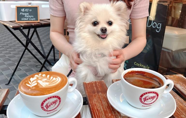 カフェラテとエスプレッソとゆめちゃん