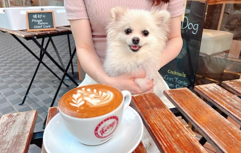 カフェラテとゆめちゃん