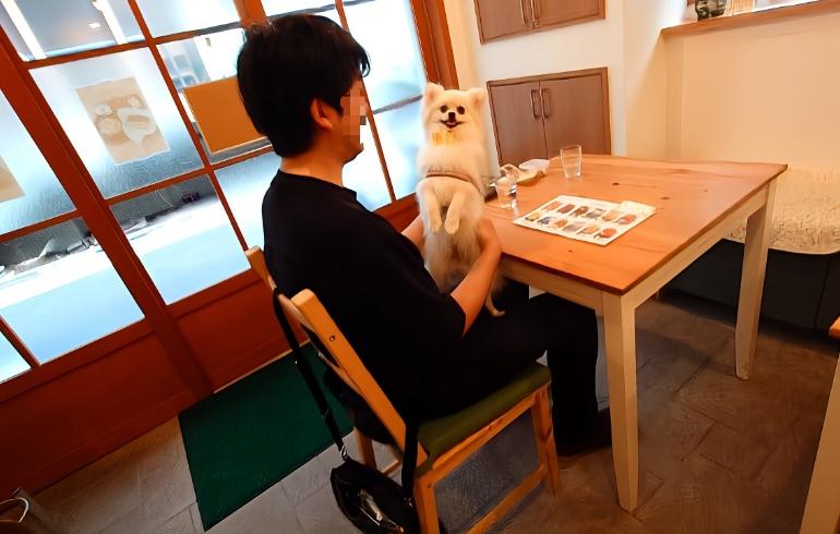 CAFE IZUMIYA（カフェイズミヤ）の写真（内観）6枚目