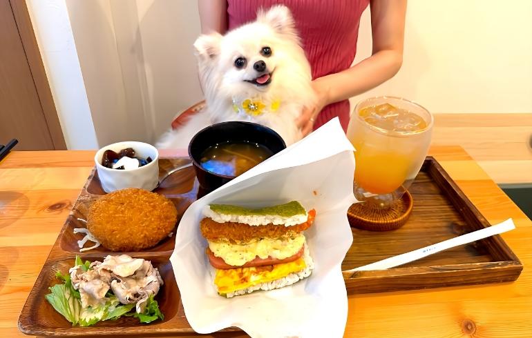 スパムおにぎり