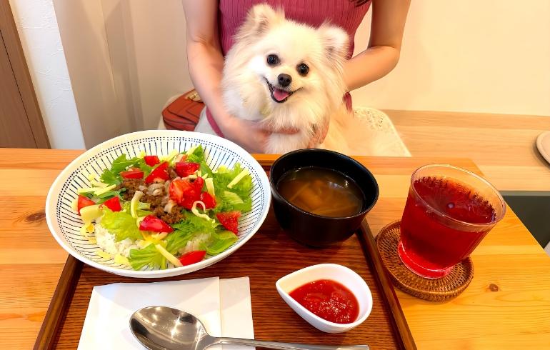 タコライス