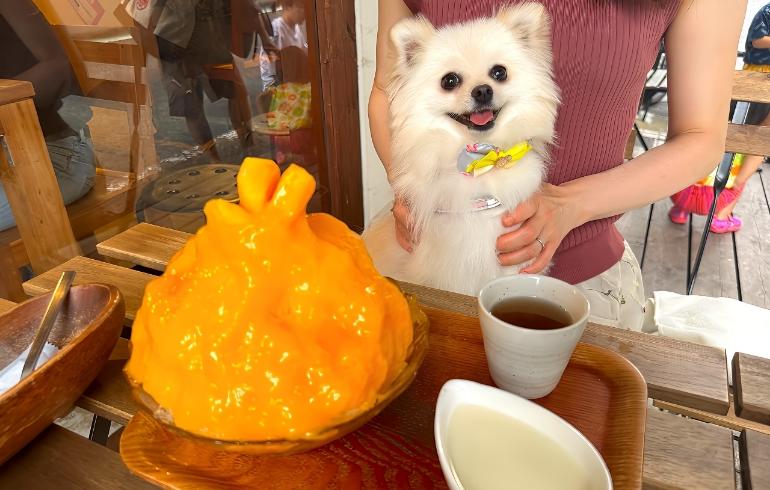 「カフェ クノップゥ」のメイン画像です。