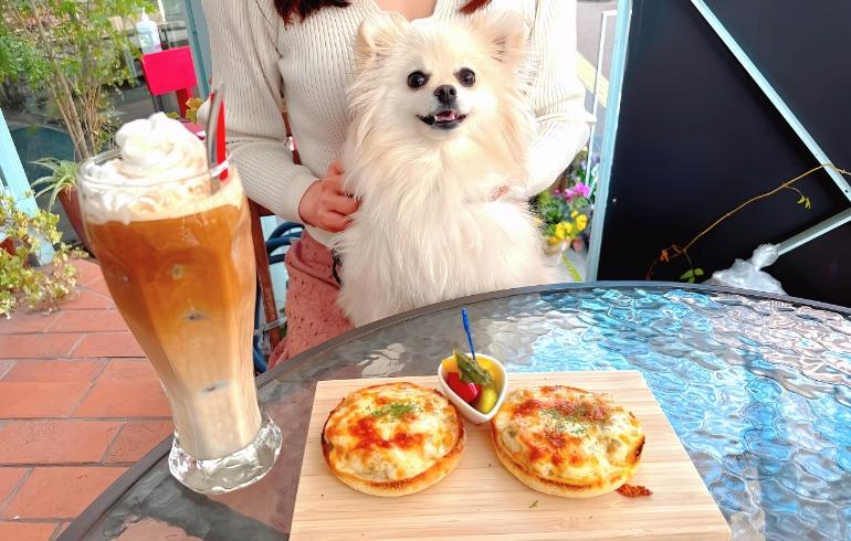 喫茶ランドリー 宮崎台 - 写真 3