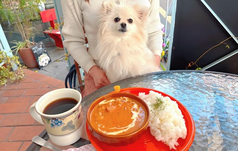 ゆめちゃんとバターチキンカレー