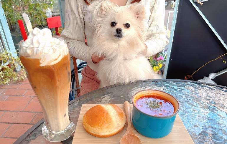 ゆめちゃんとミネストローネ