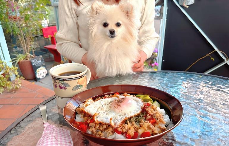 ガパオライス