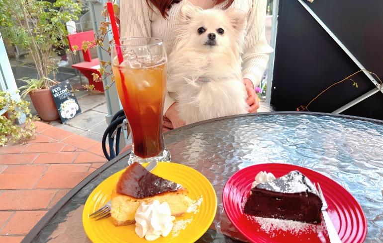デザートとゆめちゃん