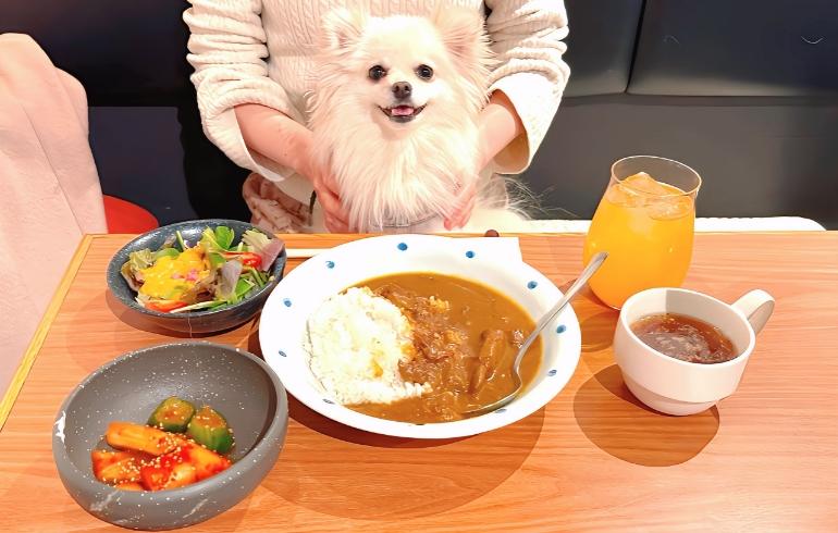 カレーセット カレーセット
