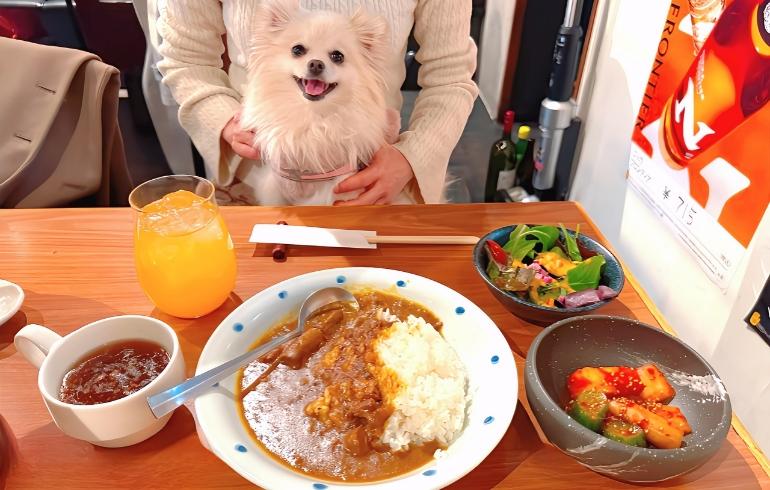 牛タン煮込みカレー 牛タン煮込みカレー
