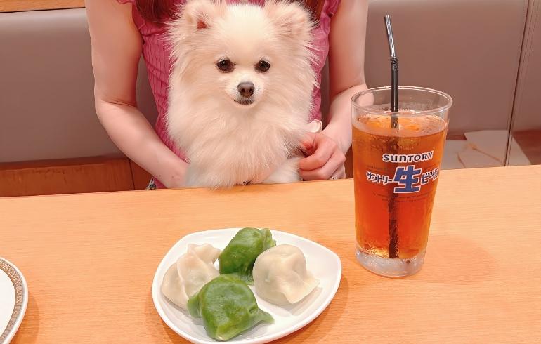 張記水餃子 張記水餃子