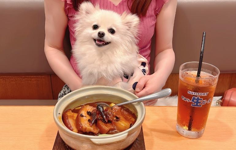 豚の角煮とゆめちゃん 豚の角煮とゆめちゃん