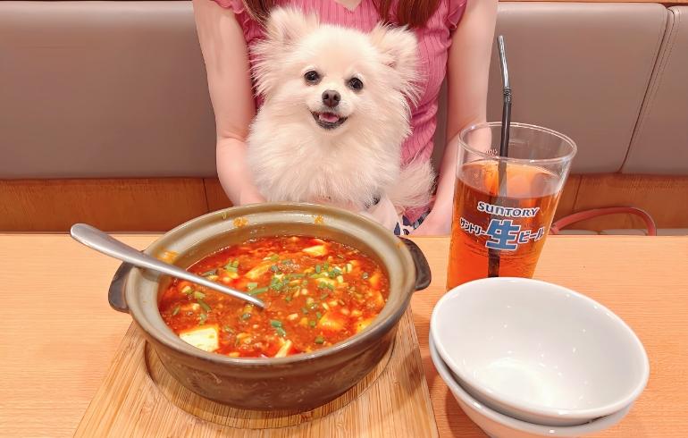 張記小龍包 新館 - 写真 5
