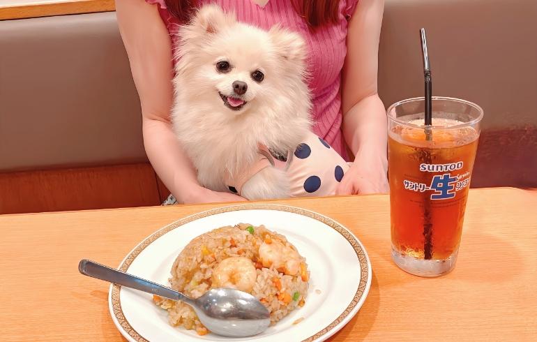 張記小龍包 新館 の写真 19