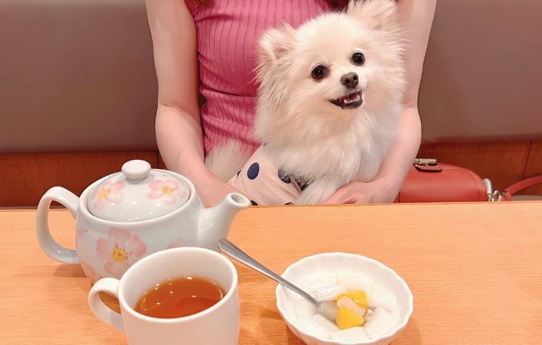 張記小龍包 新館 の写真 20
