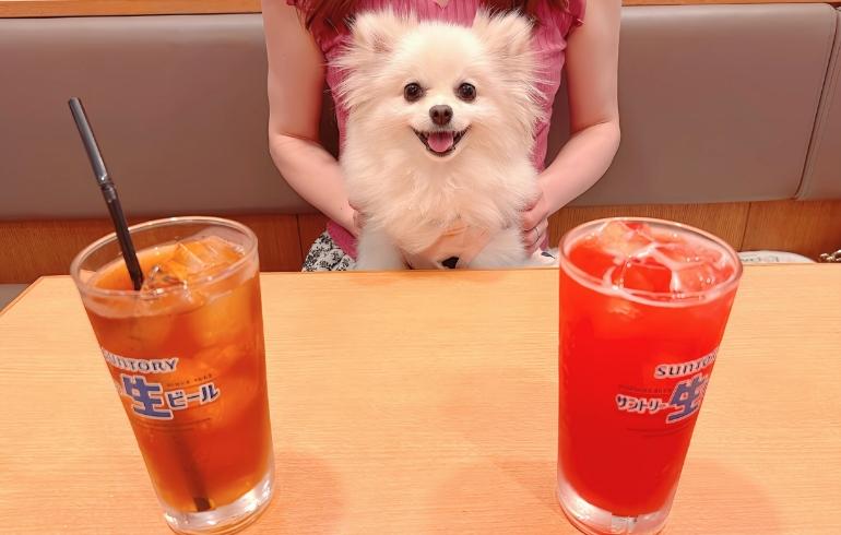 ドリンクとゆめちゃん ドリンクとゆめちゃん