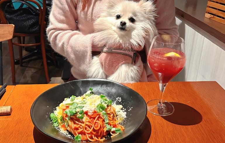 ゆめちゃんとパスタ ゆめちゃんとパスタ