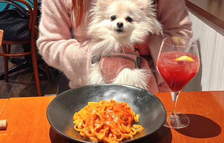 ゆめちゃんと渡り蟹のトマトクリームソース ゆめちゃんと渡り蟹のトマトクリームソース