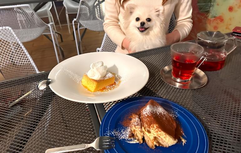 クッチーナカフェ オリーヴァ の写真 4