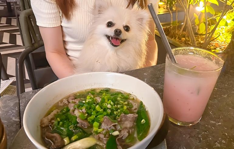 炭火牛肉と九条ネギのフォー・ボー 炭火牛肉と九条ネギのフォー・ボー