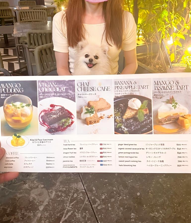 メニュー、料理4 メニュー、料理4