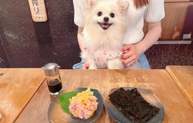 とろたくとゆめちゃん とろたくとゆめちゃん