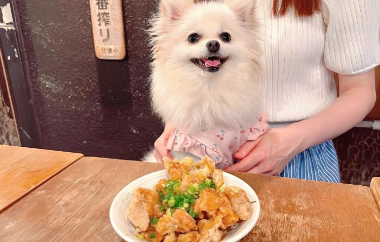 鶏皮ポン酢とゆめちゃん 鶏皮ポン酢とゆめちゃん