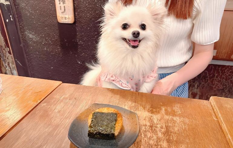 焼きおにぎりとゆめちゃん 焼きおにぎりとゆめちゃん