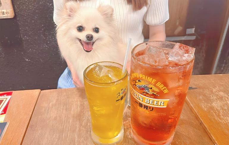 どでかジョッキシリーズ(ハイボール)とゆめちゃん どでかジョッキシリーズ(ハイボール)とゆめちゃん
