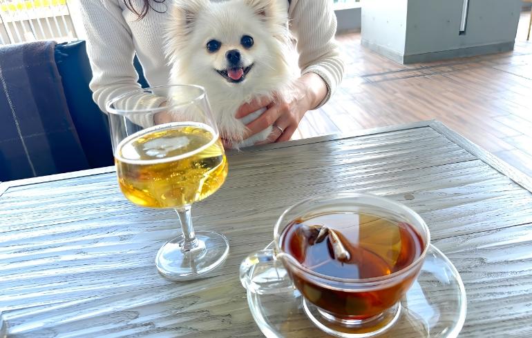2343 DEPARTMENT（ニーサンヨンサン デパートメント） - 写真 2