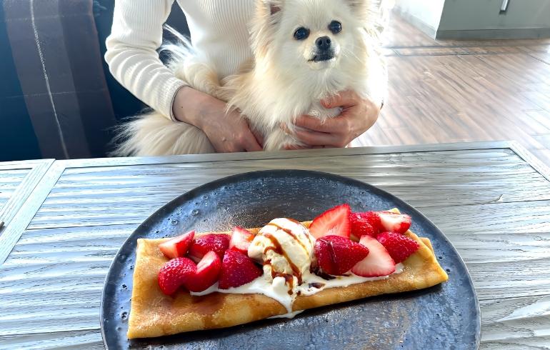 2343 DEPARTMENT（ニーサンヨンサン デパートメント）の写真（料理）1枚目