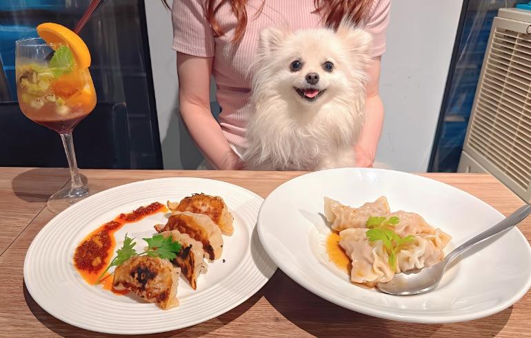 餃子2種とゆめちゃん 餃子2種とゆめちゃん
