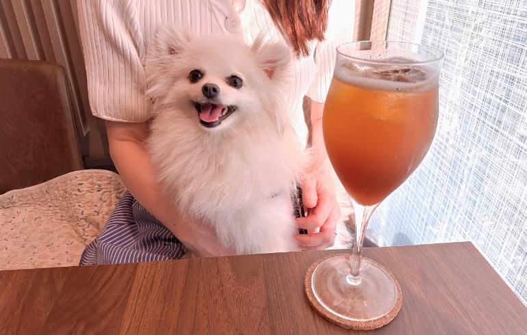 鎌倉クラフトコーラとゆめちゃん 鎌倉クラフトコーラとゆめちゃん