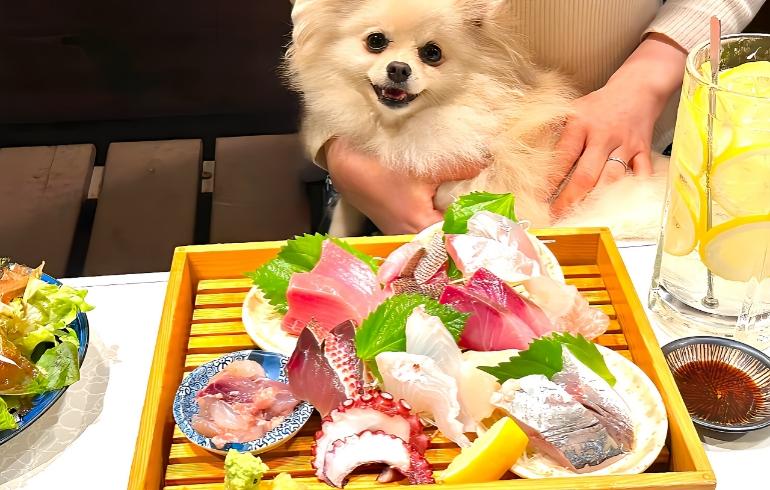 魚と酒はなたれ戸塚店 「魚と酒はなたれ戸塚店」のメイン画像です。