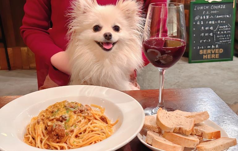 ゆめちゃんとパスタ