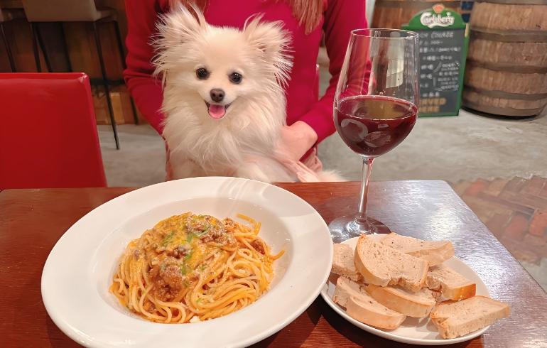 ゆめちゃん（パスタを見てる）とボロネーゼ