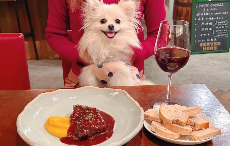 牛ホホ肉の赤ワイン煮込みとゆめちゃん