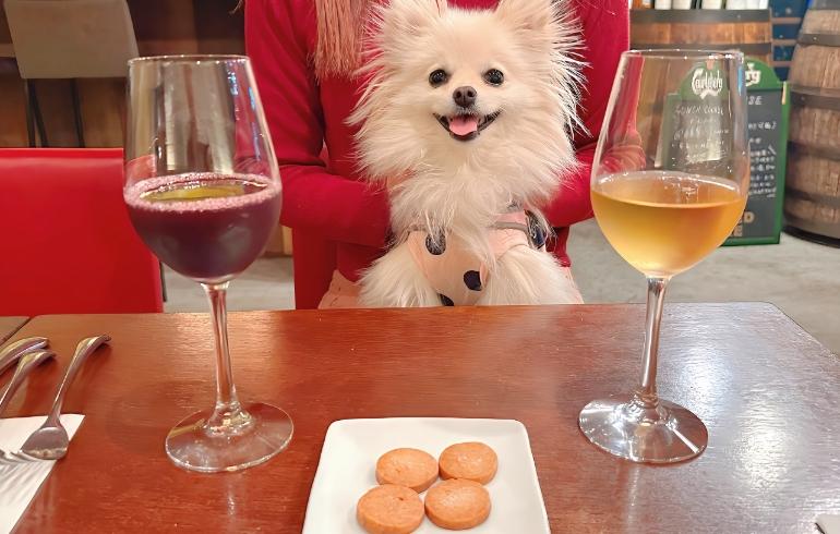 フレンチバル レ・サンス（FRENCH BAR Les Sens）の写真（ワンちゃんサービス）4枚目