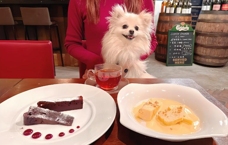 クリームチーズケーキとガトーショコラとゆめちゃん