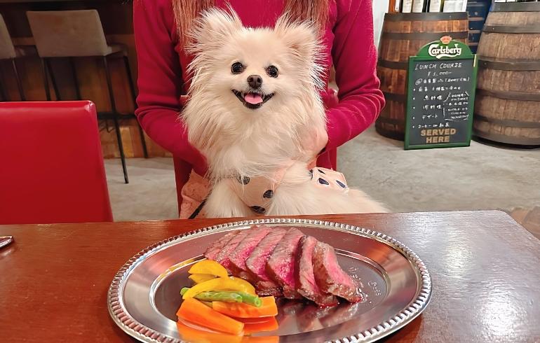 牛肩ロースステーキ（ワンちゃん用、味付けなし）とゆめちゃん