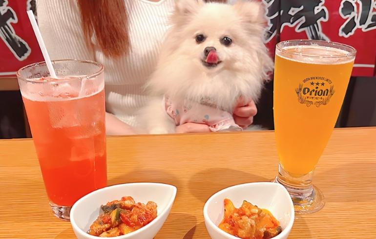 ドリンク2種とゆめちゃん ドリンク2種とゆめちゃん