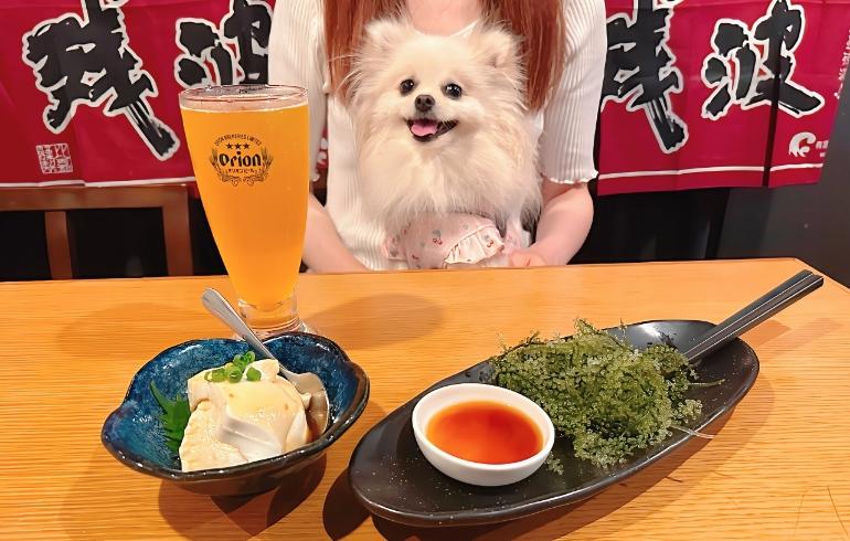 沖縄料理2種とゆめちゃん(海ぶどうなど) 沖縄料理2種とゆめちゃん(海ぶどうなど)