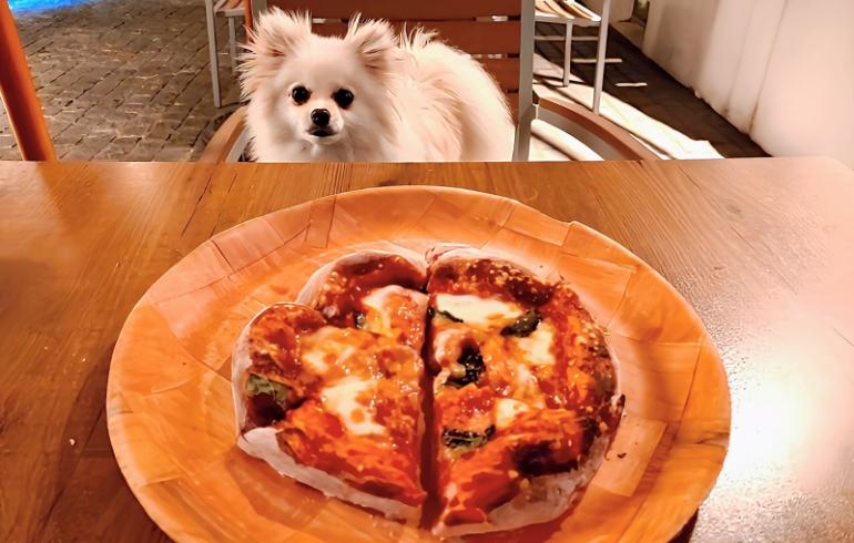 ピザ