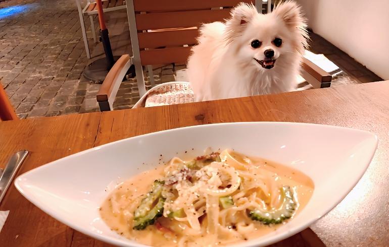 沖縄そばパスタ