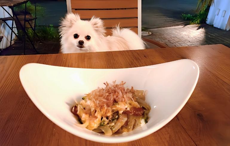 はいさいキッチン の写真 25