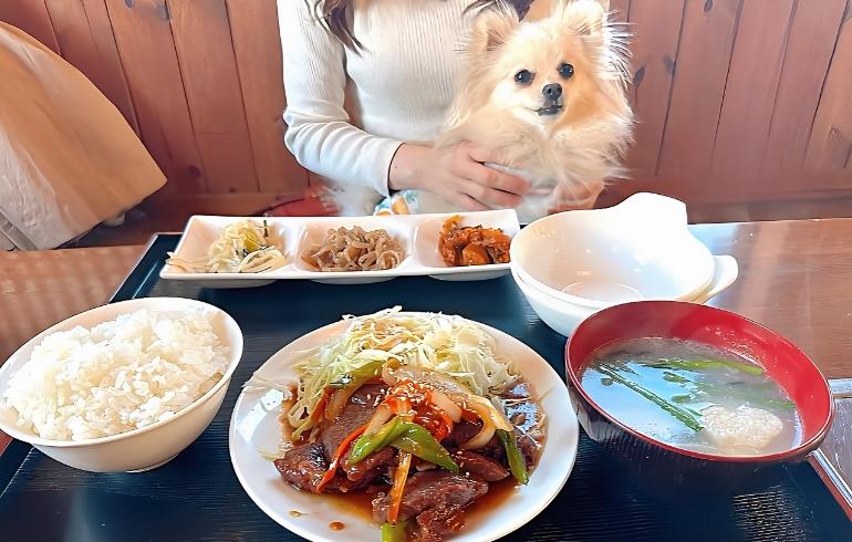 ハラミ定食 ハラミ定食