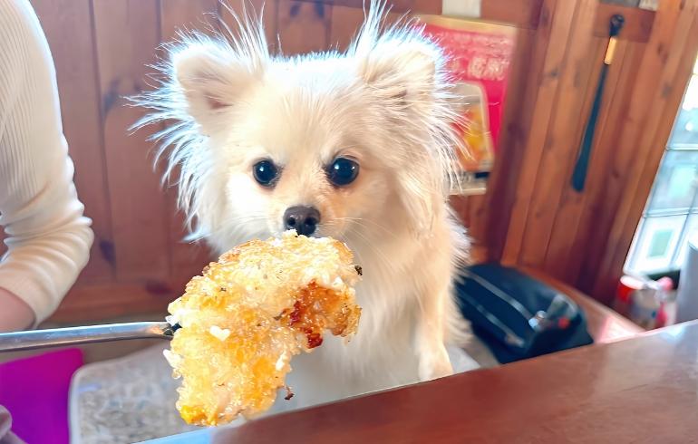 石焼きビビンバ 石焼きビビンバ