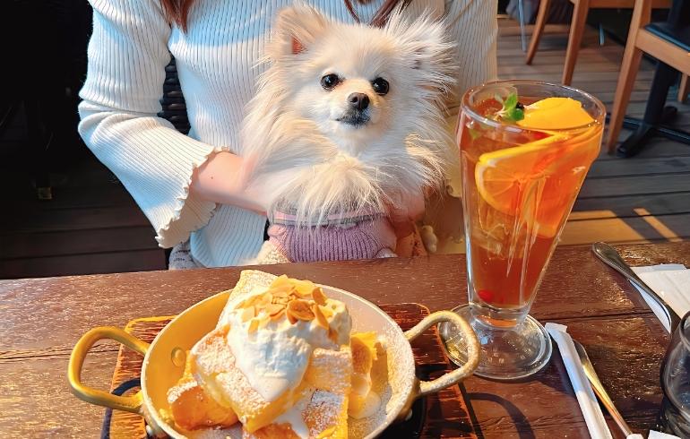 「星乃珈琲店 稲城店」のメイン画像です。