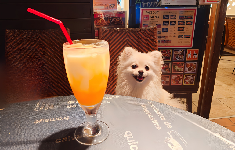 ジャイプール元住吉店 - 写真 2
