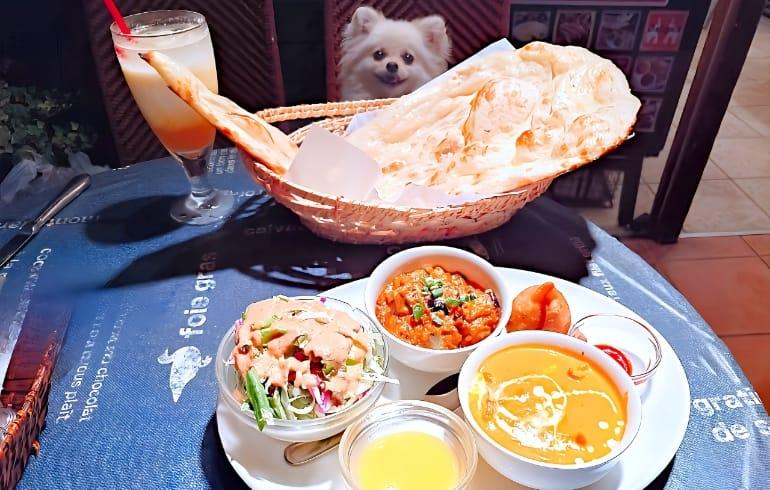 ジャイプール元住吉店 「ジャイプール元住吉店」のメイン画像です。
