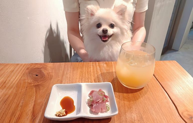リンゴジュースとゆめちゃん リンゴジュースとゆめちゃん